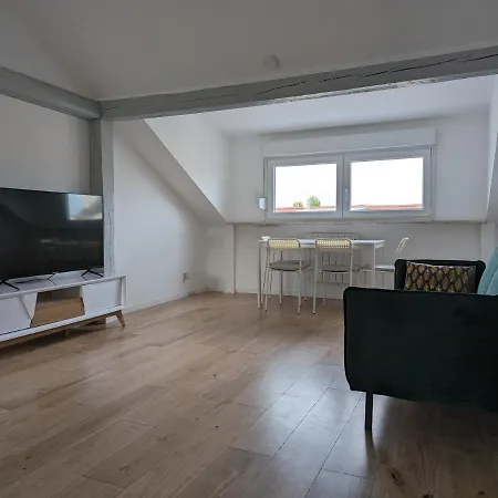 Le Vauban - Appartement 2 Chambres, Salon, Cuisine Equipee, Parking Et Wifi Gratuit Mülhausen Exterior foto